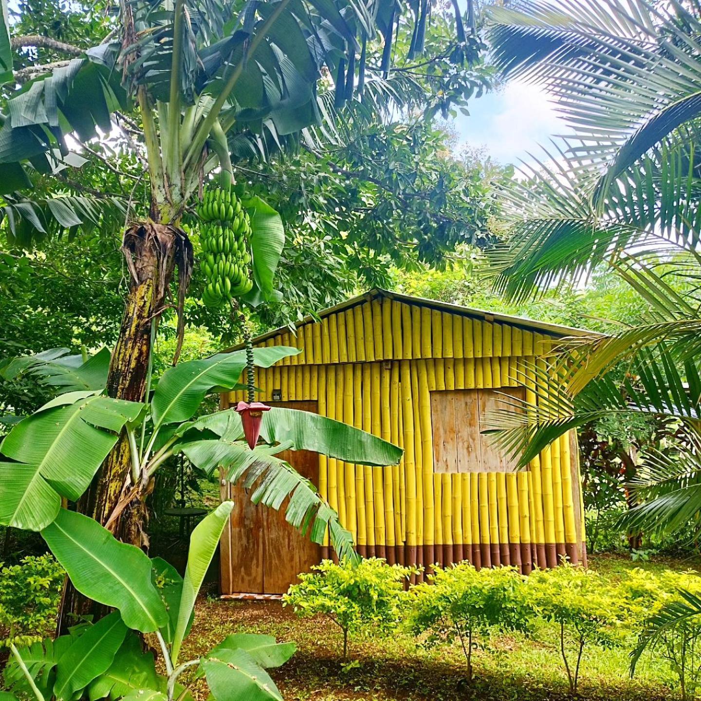 Cabanas Ixaya カテマコ エクステリア 写真